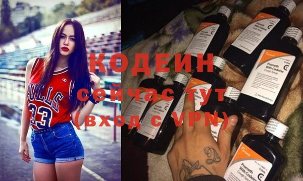 индика Алзамай