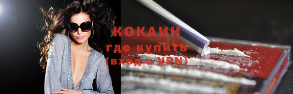 индика Алзамай