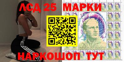 мдпв Бийск