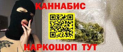 мдпв Бийск