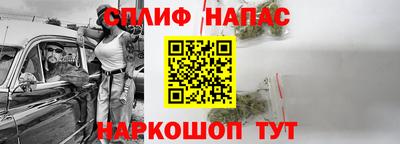гидра Беслан