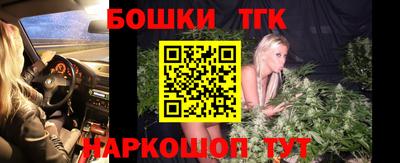 мдпв Бийск