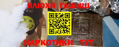 мдпв Бийск
