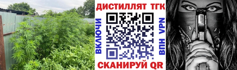 купить  цена  Домодедово  Дистиллят ТГК вейп с тгк 