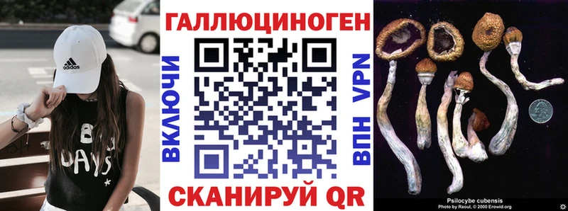 даркнет сайт  Домодедово  Галлюциногенные грибы Psilocybe 