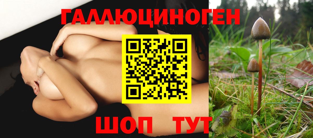 Галлюциногенные грибы Cubensis  Галлюциногенные грибы прущие грибы  Домодедово  Вход с VPN 